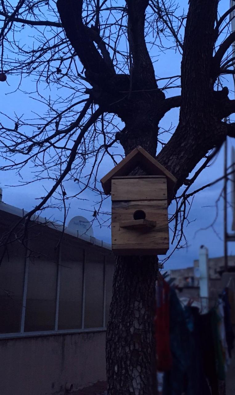 Birdhouse Rooms Tbilisi Eksteriør bilde